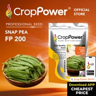 (500 GRAM) Biji Benih Kacang Pis Leper Belanda Doremi 豆来米 FP200 CROP POWER Flat Pea Seed 荷兰扁豆种子 FP 2