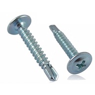 Car Bumper Screw/Car Skirting Screw Self Tapping Screw Self Drilling Screw Zinc-Plated Hex-Head Self