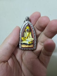 泰國 彩色虎頭魯士