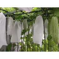 Bag Wrapped With Bitter Melon, Cucumber, Avocado 034,... Size 15x30cm