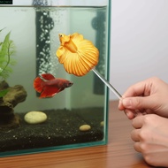 MXMIO Teasing Fish Stick, Resin Fish Shaped Betta Training Wand, Fun Colorful Long Pole Simulation B
