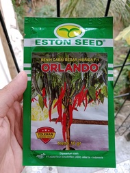 cabe merah besar Orlando f1 10 gr. toleranvirus dan tahan penyakit.