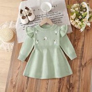 Baby Girls Floral Embroidered Colorblock Sweater Dress, Long Sleeve Knit Pullover Dress, Casual Coun