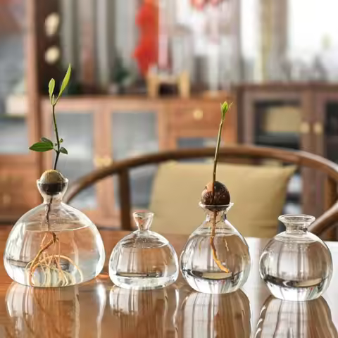 Avocado Seed Starter Vase Avocado Vase for Growing Avocado Seed Growing Kit Plant Glass with Sticker