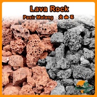 Red Black Lava Rock Pasir Malang Batu Stone Soil Cactus Succulent Plant Filter Media Aquarium 火山石