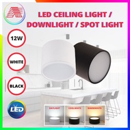 LED Downlight Surface Mounted Ceiling Lamp 12W Spot Lamp for Indoor Foyer Living Room Indoor