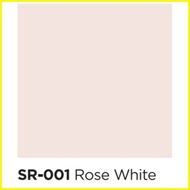 ▦ ❡ ๑ DAVIES 4 liters SUN AND RAIN Odorless Elastomeric Paint for Concrete/Masonry