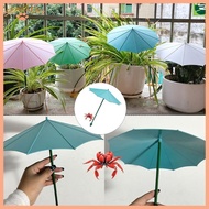 SC 5Pcs Outdoor Plant Umbrella for Outdoor Plant Garden Umbrella Shade for Potted Plant Garden Bed P