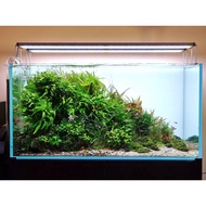 (CD)mini fish tank with square edges 30x20x20CM filter light tank, complete set of feng shui desktop