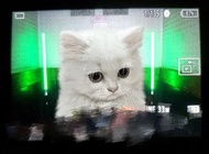 兩枝LED七彩顏色燈棒0.9米+腳架