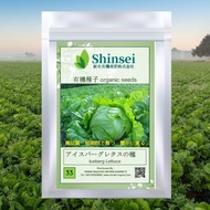 Shinsei 新生 | Organic Seeds 33 | Iceberg Lettuce