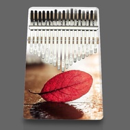 Cheap 17-key kalimba with full accessories for students made of gecko wood