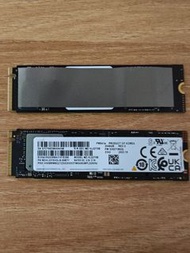可置換2TB Samsung PM9A1a / WD SN5000S 2TB SSD 固態硬碟 NVME Gen4 M.2 2280
