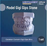 Model Gigi Gips / Model Study Gipsum Praktikum - Gips Biru Set 11