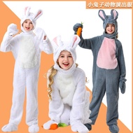 Children's Alice in Wonderland Bunny Costume