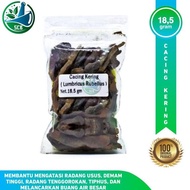 Cacing Tanah Kering / Lumbricus Rubellus - Obat Typus Tipus Tipes