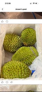 馬來西亞D197貓山王 原箱優惠