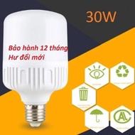 30w led bulb