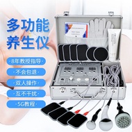 +++[READY STOCK] DDS Bio-Electric Instruments Multifunctional Household Human Cell Repair Physiother