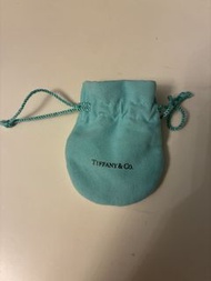 Tiffany and Co bag