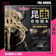 <設面交/寄運> 26年10月預訂！全新未開封 行版 Bandai Art in Gashapon 扭蛋 生物之大圖鑑 昆蟲骨格標本 (全4款)