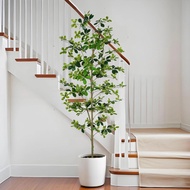 Artificial Black Olive Tree Faux Plant | Realistic Olive Tree for Home, Office & Shop Decoration