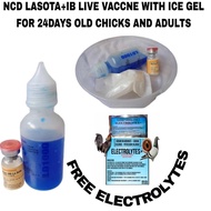ncd lasota+ib vaccine for chicken 1000dosage with ice gel