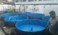 terpal kolam ikan bundar bulat diameter 150cm tinggi 50cm