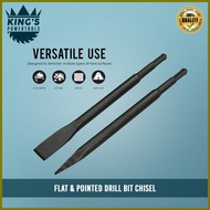 ┳ ✸ ▘ Chipping Gun Drill Bit Chisel (Flat & Pointed)