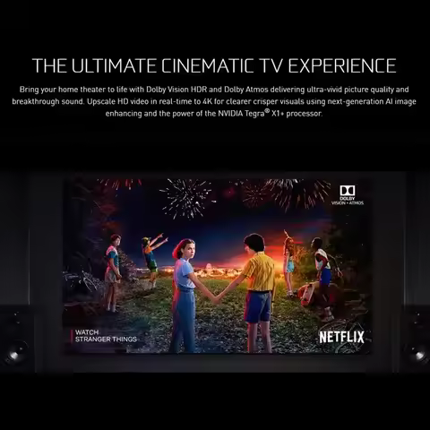 Go 2019 Shield TV Pro Video Game Consoles TV Box Android Consumer Electronics Games Accessories Cons
