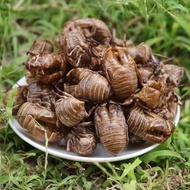Straw Straw herbal medicine cicada shed authentic cicada skin Da Traditional Chinese herbal medicine