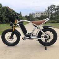 立減2020寸兩輪復古鋰電電動車48雪地沙灘車電動助力自行車出口源頭