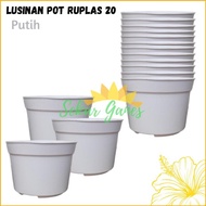 Restock ✡ Lusinan Pot Bunga 20 Putih Polos Pot Bunga Hias Plastik