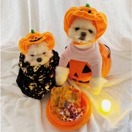 Halloween pumpkin pattern headband for pets dogs and cats