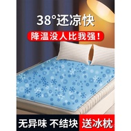 Anti-Decubitus Elderly Bedridden Paralyzed Patient Cushion Long-Term Care Anti-Pressure Sore Water C