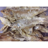 Ikan Gonjeng Masin/ Ikan Bulu Ayam dari Sarawak