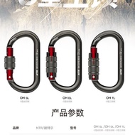 Carabiner NTR Auto Lock for Rope Access
