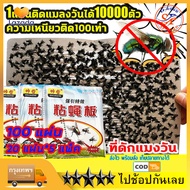 กาวดักแมลงวัน 100 แผ่น รุ่นกระดาษ ค่าส่งถูก ใช้งานง่าย กาวแน่น กาวเต็มแผ่น กาวเยอะ มีสารล่อแมลง