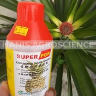 Maxi PGR Hormon Nanas 500ml - Nanas Berbuah Besar Dengan Saiz Yang Sama