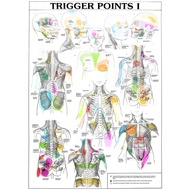 Trigger Points Chart Informational Anatomy Art Film Print Silk Poster Home Wall Decor