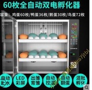 【110V】孵化機 全自動孵化器 家用小型孵化機 鴿子孵蛋器雞蛋孵化箱智能小雞孵蛋機