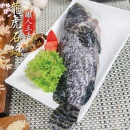 【鮮綠生活】(免運組)特選龍虎石斑魚550克 共3尾