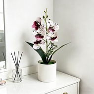 Soft Pink Artificial Orchid Tree Potted Plant for Bedroom Nightstand Calming Bedroom Decor
