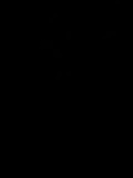 Insta360 X3