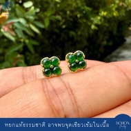 2AC-JA-CLO ต่างหูใบโคลเวอร์ หยกจักรพรรดิ ต่างหูเงินแท้100% หยกพม่า หยกแท้100% Gold Plated หยกเนื้อแก