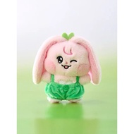 KKYUPING V2 NCT DREAM x LINE FRIENDS Dreamiez's Dream Forest