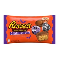 Hershey's Reese's Peanut Butter Cup Miniatures 281g