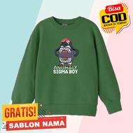 Anomaly Sigma Boy Sweater Anomaly Sigma Boy Boys & Girls Jacket/
