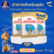 อาหารสุนัข ROYAL CANIN Labrador Puppy ลูกสุนัข 12 Kg