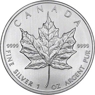 Canadian Mint Silver Maple Leaf 2013 1oz Coin (with case)